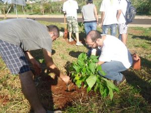 Quinta-Feira 07/04